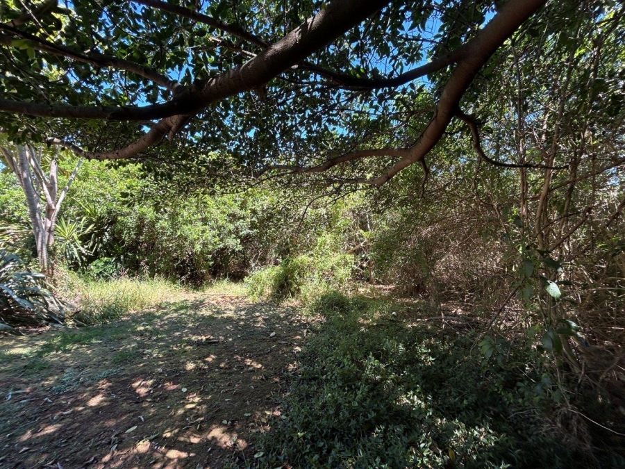 0 Bedroom Property for Sale in Noorsekloof Eastern Cape